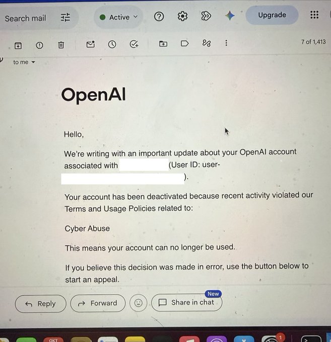 被引用开发者分享的账号邮件截图;封号经过属于作者自述。
